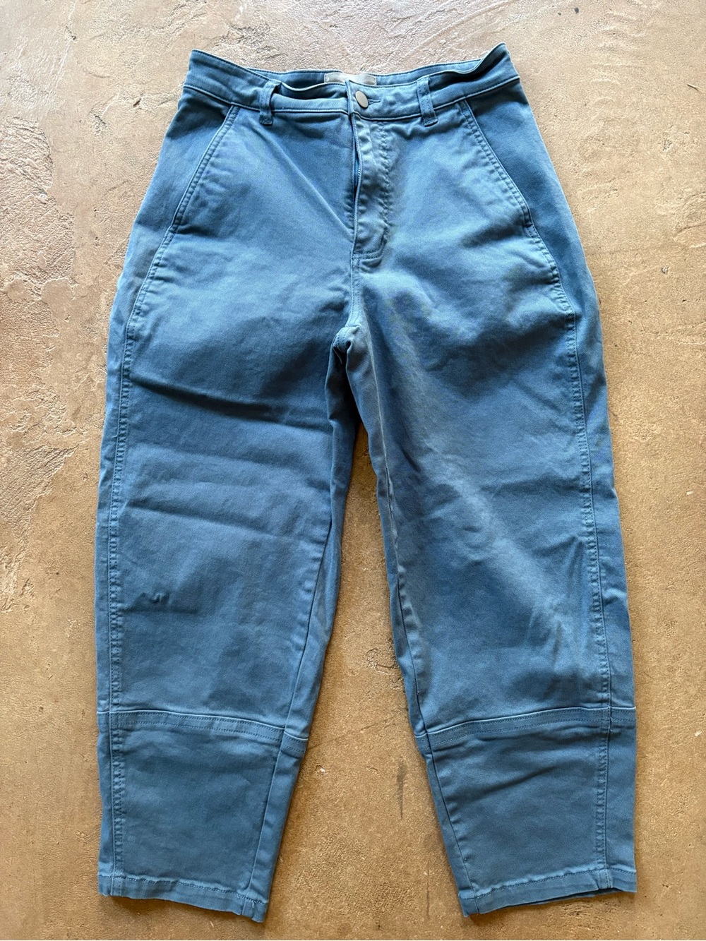 Everlane Blue Utility Barrel Pants (6)